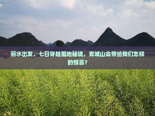 丽水去四川青城山七日游