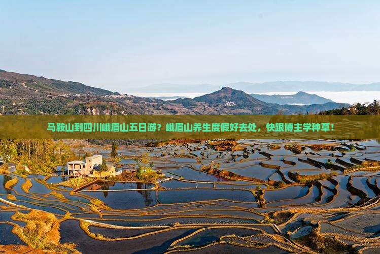 马鞍山到四川峨眉山五日游