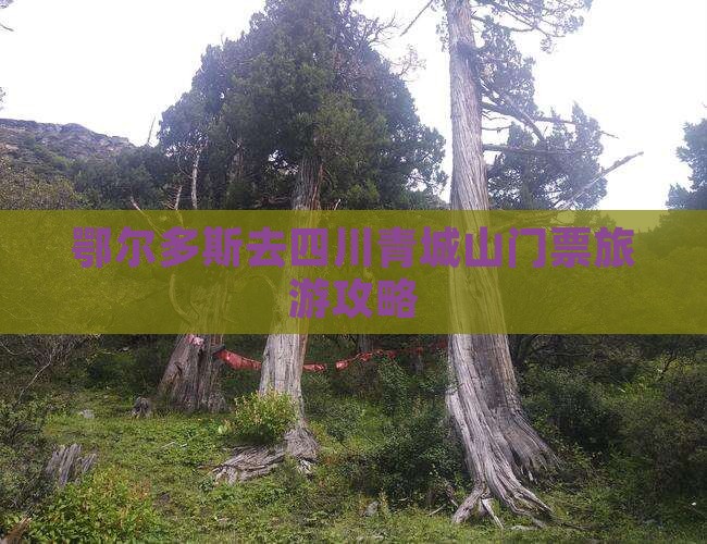鄂尔多斯去四川青城山门票