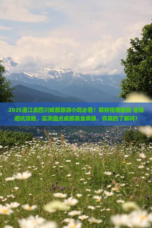 湛江去四川成都旅游小吃