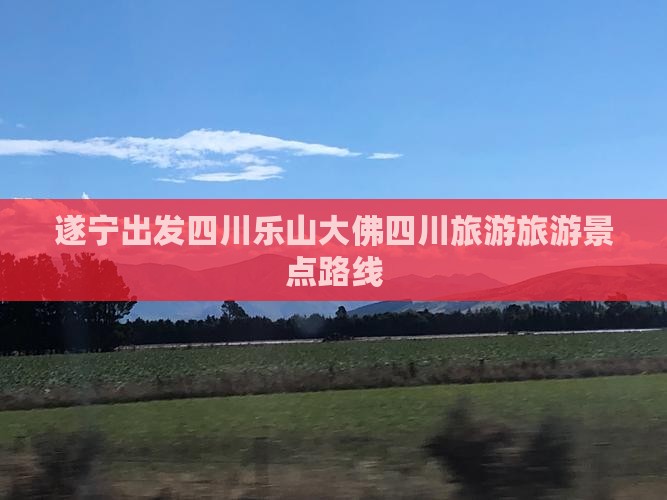 遂宁到四川乐山大佛旅行社 遂宁到四川乐山大佛旅行社