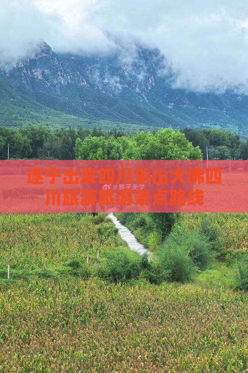 遂宁到四川乐山大佛旅行社 遂宁到四川乐山大佛旅行社