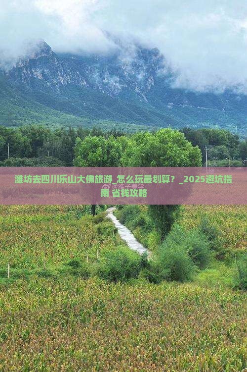 潍坊去四川乐山大佛旅游