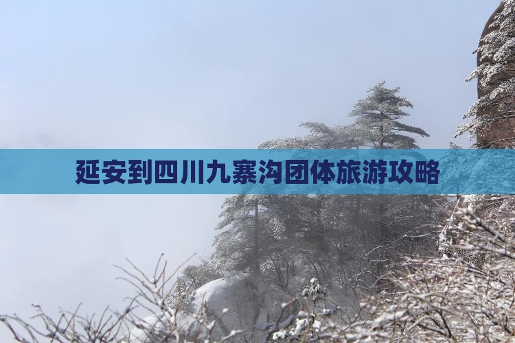 延安到四川九寨沟团体旅游