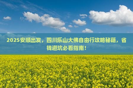 安顺到四川乐山大佛自由行