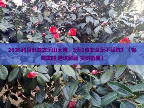 和县到四川乐山大佛哪里玩