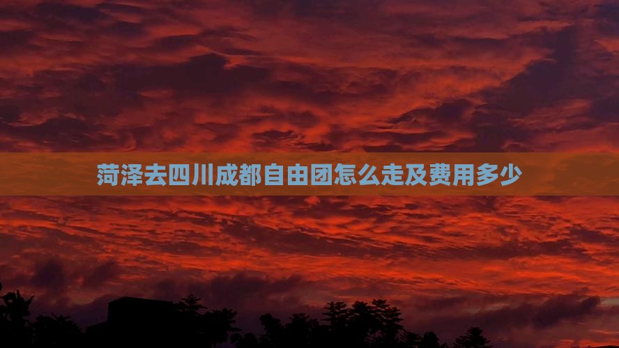 菏泽去四川成都自由团
