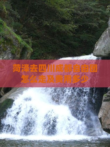 菏泽去四川成都自由团