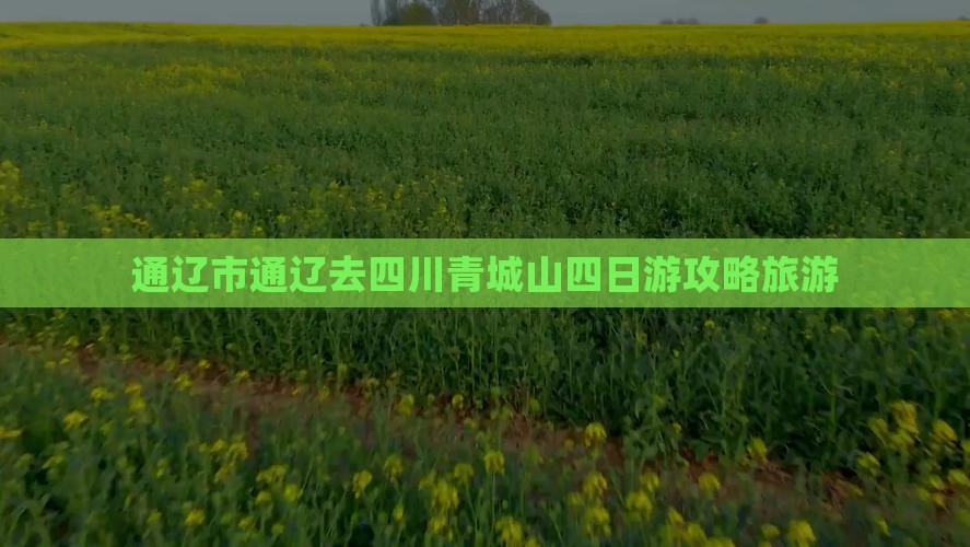 通辽去四川青城山四日游