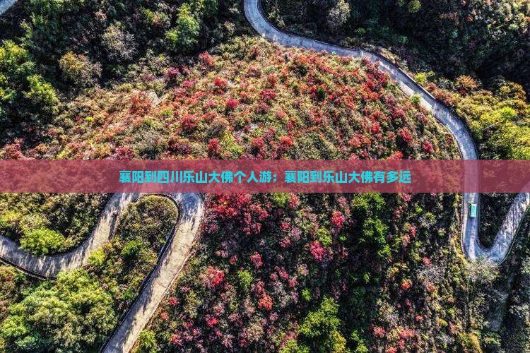 襄阳到四川乐山大佛个人游