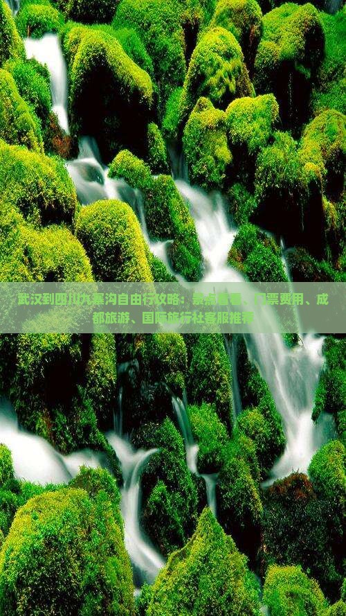 武汉到四川九寨沟门票
