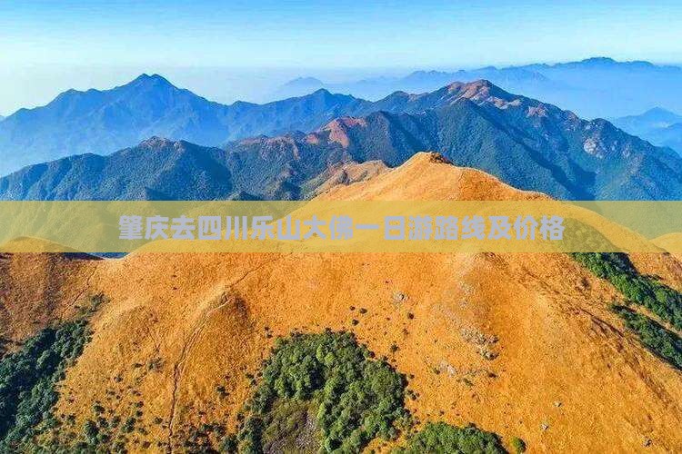 肇庆去四川乐山大佛一日