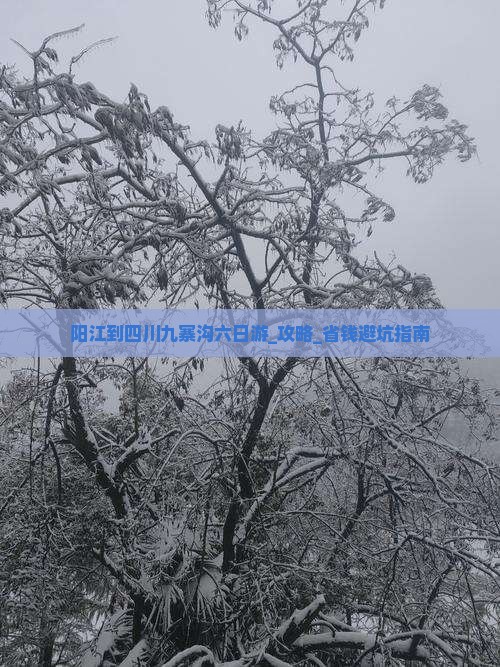 阳江到四川九寨沟六日游