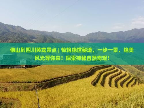 佛山到四川黄龙景点