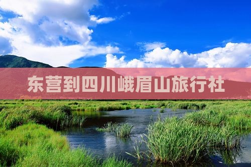 东营到四川峨眉山旅行社