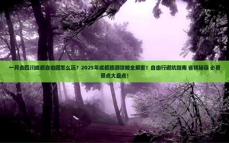 一月到四川成都自由团