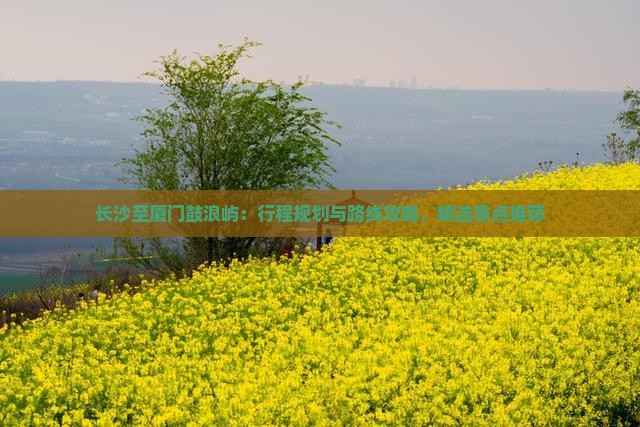 长沙至厦门鼓浪屿：行程规划与路线攻略，精选景点推荐