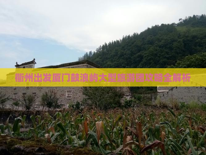 衢州出发厦门鼓浪屿大型旅游团攻略全解析