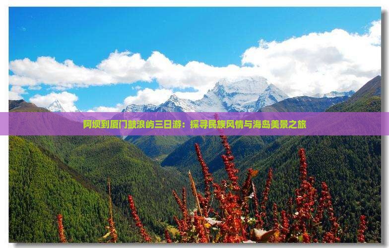 阿坝到厦门鼓浪屿三日游：探寻民族风情与海岛美景之旅
