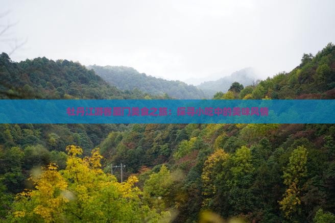 牡丹江游客厦门美食之旅：探寻小吃中的美味风情