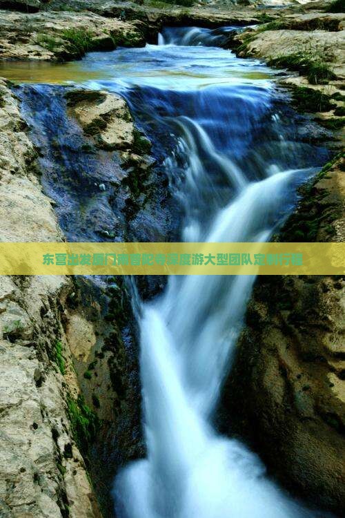 东营出发厦门南普陀寺深度游大型团队定制行程
