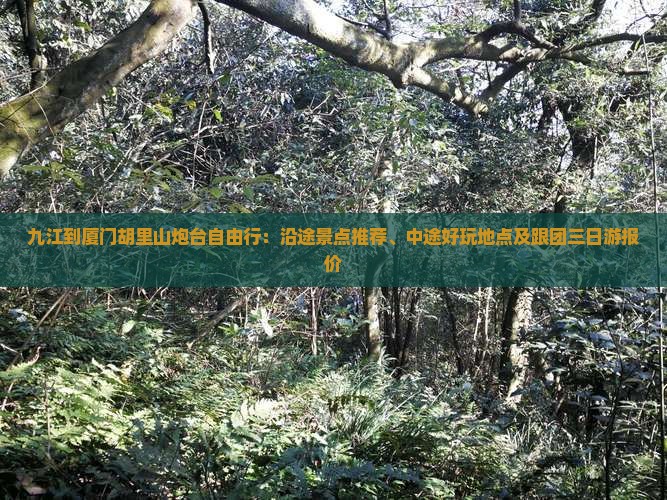 九江到厦门胡里山炮台自由行：沿途景点推荐、中途好玩地点及跟团三日游报价