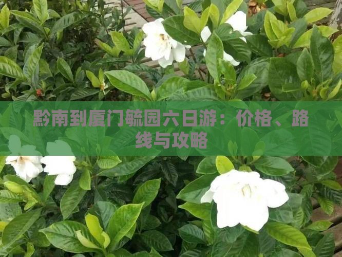黔南到厦门毓园六日游：价格、路线与攻略