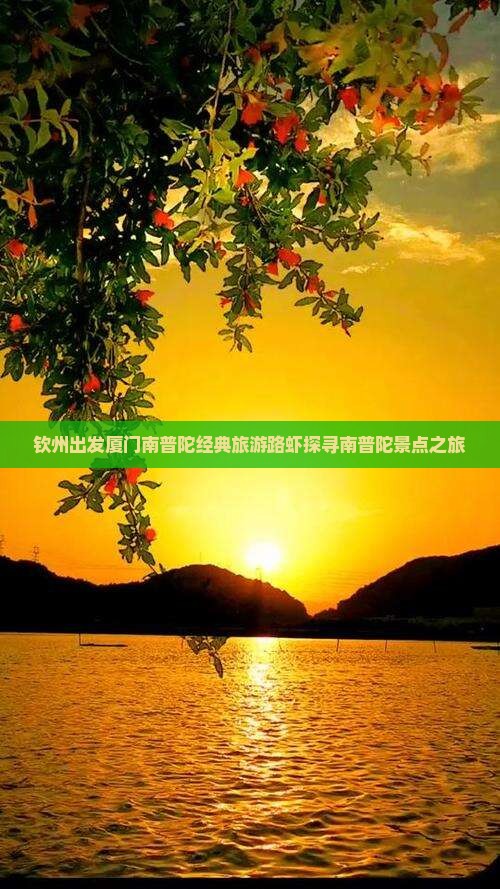 钦州出发厦门南普陀经典旅游路虾探寻南普陀景点之旅