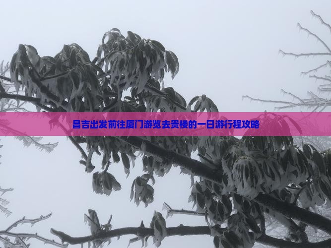 昌吉出发前往厦门游览去贵楼的一日游行程攻略