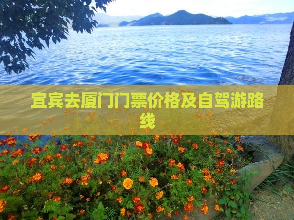 宜宾去厦门门票价格及自驾游路线