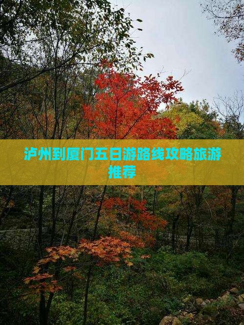 泸州到厦门五日游路线攻略旅游推荐