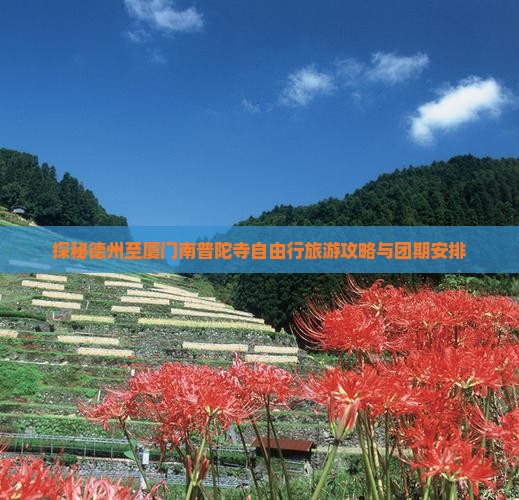 探秘德州至厦门南普陀寺自由行旅游攻略与团期安排