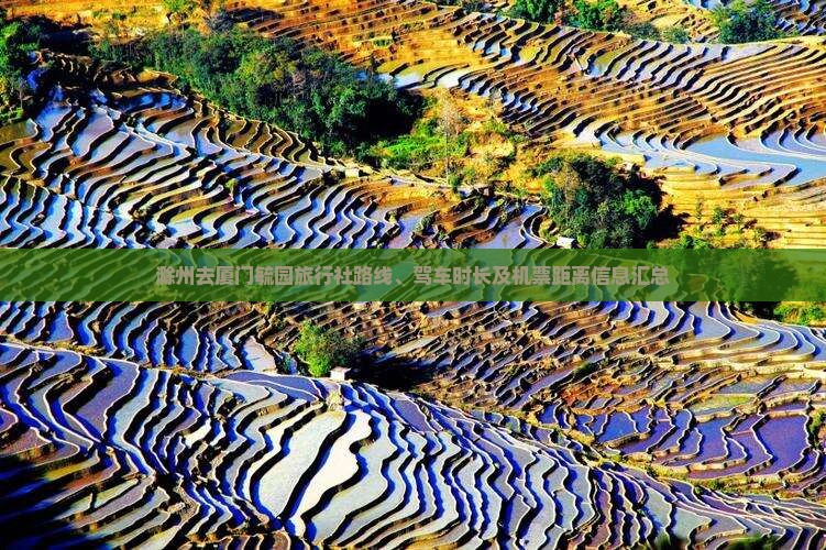 滁州去厦门毓园旅行社路线、驾车时长及机票距离信息汇总