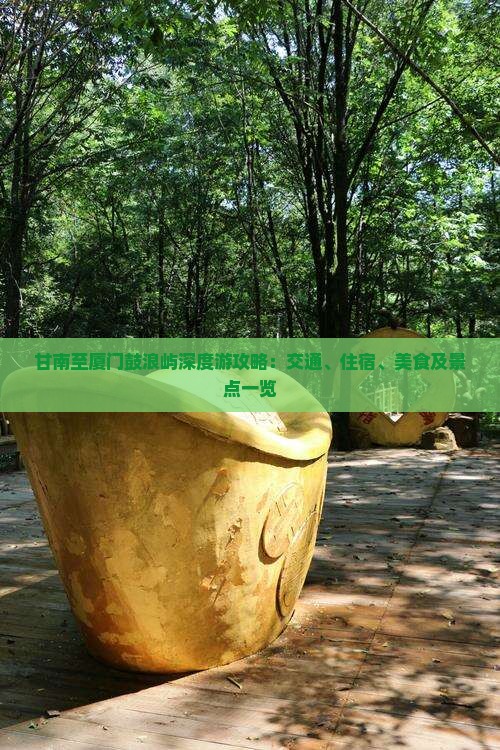 甘南至厦门鼓浪屿深度游攻略：交通、住宿、美食及景点一览
