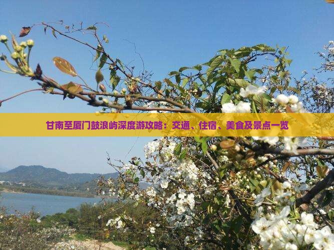 甘南至厦门鼓浪屿深度游攻略：交通、住宿、美食及景点一览