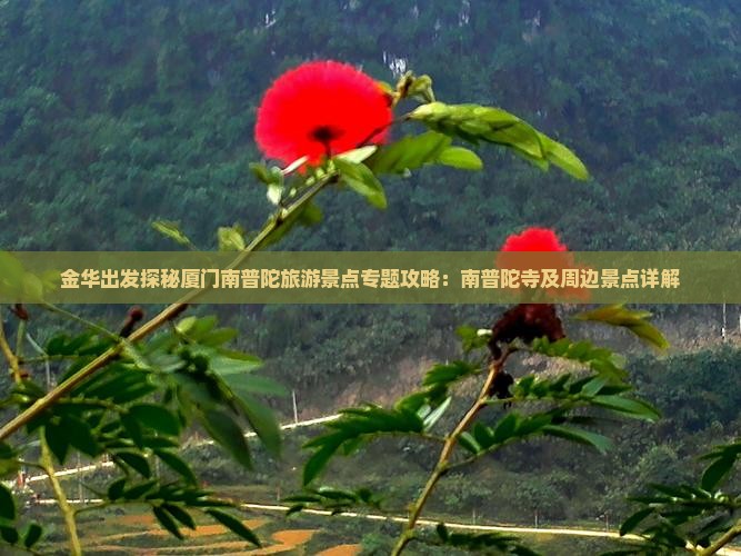 金华出发探秘厦门南普陀旅游景点专题攻略：南普陀寺及周边景点详解