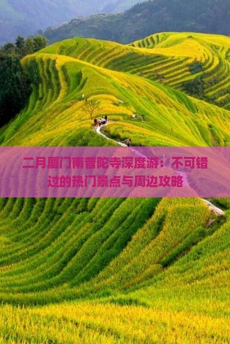 二月厦门南普陀寺深度游：不可错过的热门景点与周边攻略