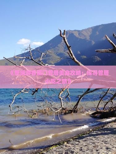 《恩施游客厦门曾厝美食攻略：探寻曾厝小吃之旅》