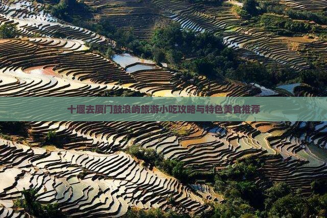 十堰去厦门鼓浪屿旅游小吃攻略与特色美食推荐