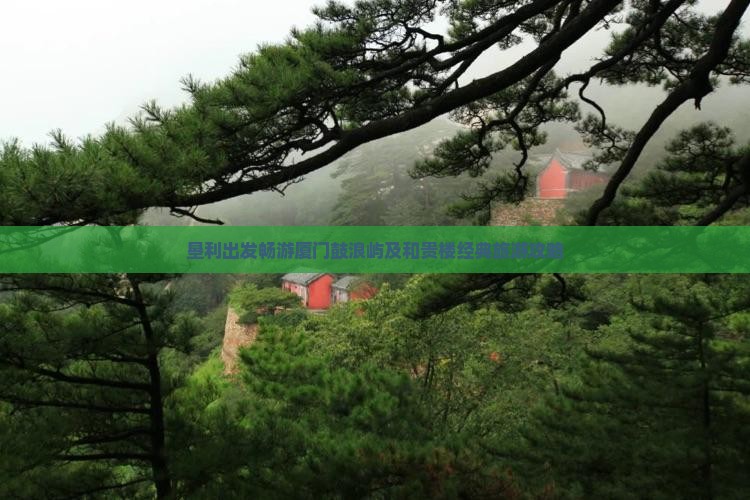 垦利出发畅游厦门鼓浪屿及和贵楼经典旅游攻略