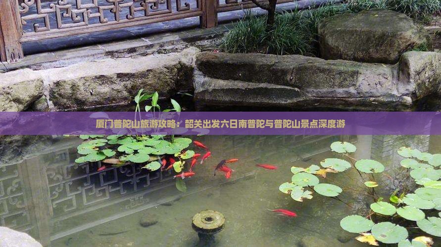 厦门普陀山旅游攻略：韶关出发六日南普陀与普陀山景点深度游