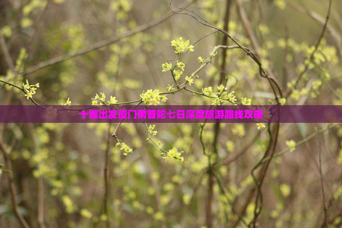 十堰出发厦门南普陀七日深度旅游路线攻略