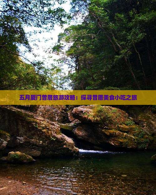 五月厦门曾厝旅游攻略：探寻曾厝美食小吃之旅