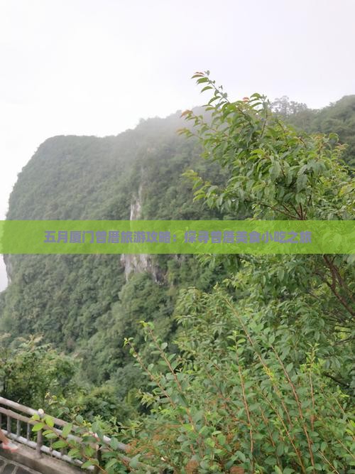 五月厦门曾厝旅游攻略：探寻曾厝美食小吃之旅