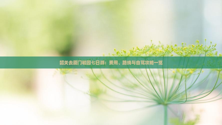 韶关去厦门毓园七日游：费用、路线与自驾攻略一览