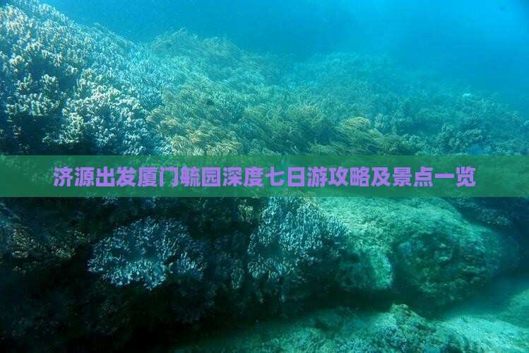 济源出发厦门毓园深度七日游攻略及景点一览
