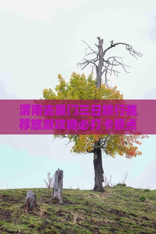 渭南去厦门三日旅行推荐旅游攻略必打卡景点