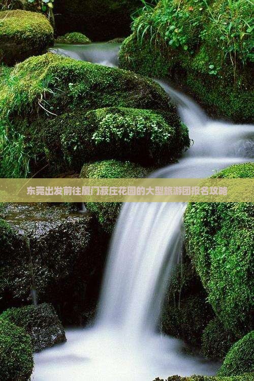 东莞出发前往厦门菽庄花园的大型旅游团报名攻略