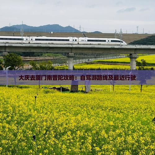 大庆去厦门南普陀攻略：自驾游路线及最近行驶