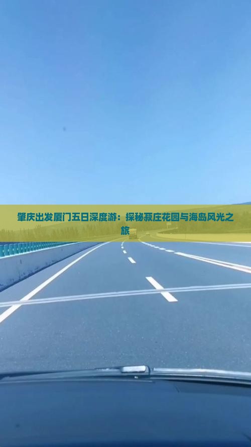 肇庆出发厦门五日深度游：探秘菽庄花园与海岛风光之旅